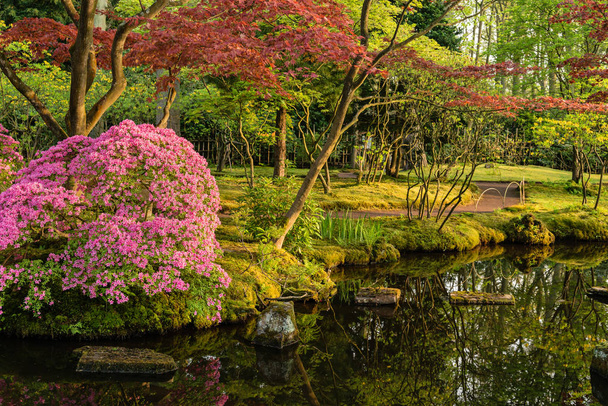 Kaunis japanilainen puutarha keväällä, Den Haag, Hollanti
 - Valokuva, kuva
