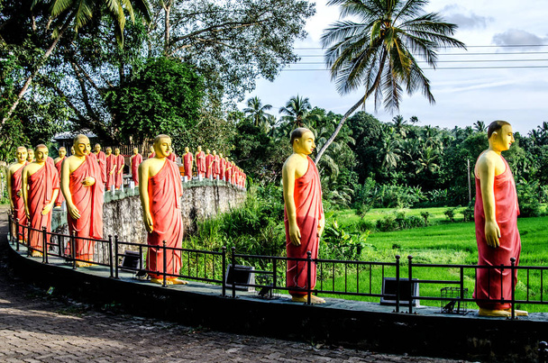 Mönchsstatuen, die in einer Reihe stehen, in einem der Tempel von sri lanka. - Foto, Bild