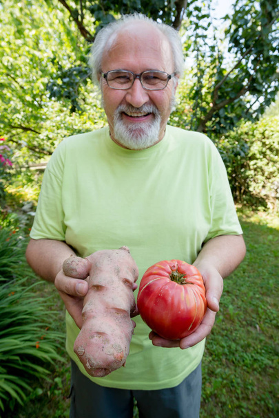 Homem idoso feliz com batata e tomate em seu quintal
 - Foto, Imagem