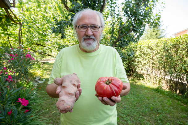 Ευτυχισμένος ένας ηλικιωμένος άνδρας με πατάτα και ντομάτα στην πίσω αυλή του - Φωτογραφία, εικόνα