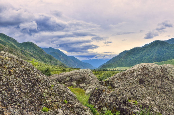 Boulders covered with moss and lichen in the mountain valley of the Altai Mountains, Russia - a beautiful summer landscape in cloudy weather - Foto, immagini