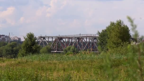 Trein over de brug die voetgangers op een park parcours lopen brug, een voormalig trein die een droge kreek bed omspant. - Video