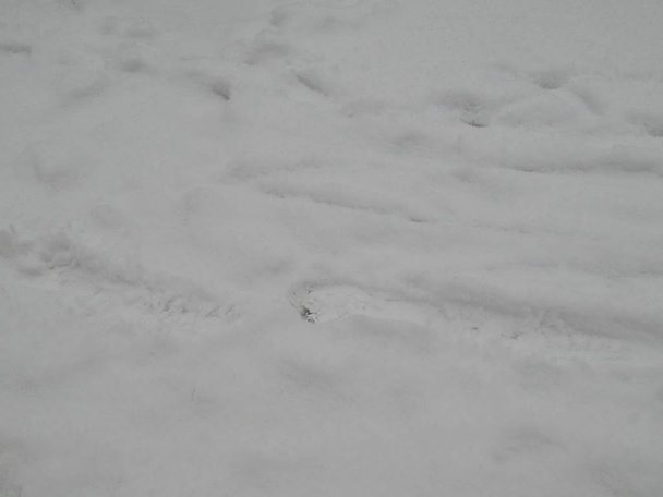 Χειμώνα υφή χιόνι λευκό φόντο και αντικείμενα - Φωτογραφία, εικόνα