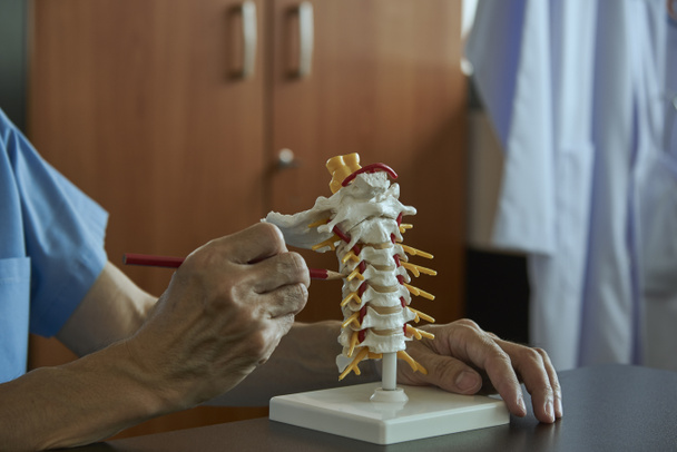 A neurosurgeon pointing and demonstrating anatomy of artificial human cervical spine model in medical office - Photo, Image