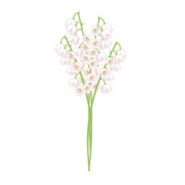 Vector graphics clipart Flower May Lily - Vektör, Görsel