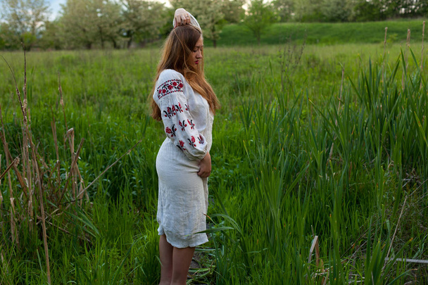 Ukrainian girl in a linen long shirt with embroidery seductively posing on a green spring meadow - Photo, Image