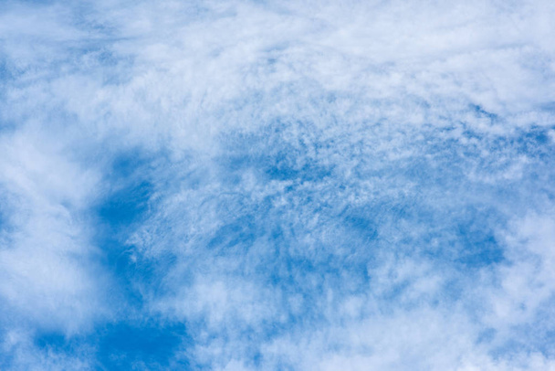 Modrá obloha pohled zespodu  - Fotografie, Obrázek