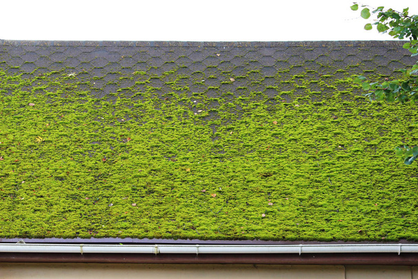 güzel yeşil yosun ile büyümüş evin çatısında kahverengi esnek döşeme. Yumuşak çatı, çatı kiremitleri. Esnek Zona. Çatı döşeme doku. Esnek, yumuşak, bitümlü, kompozit. - Fotoğraf, Görsel