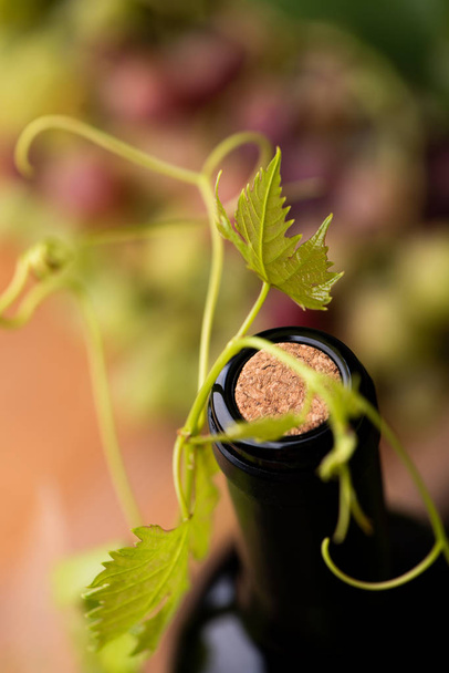 Een fles wijn Close-up met een kurk. Bovenaanzicht - Foto, afbeelding