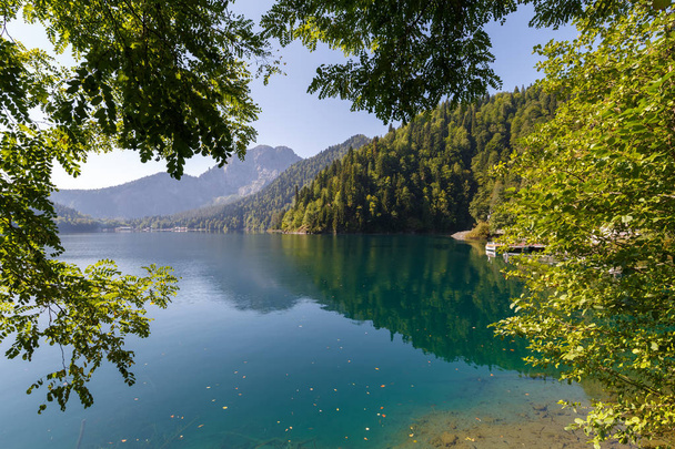 Piękny widok na jezioro z czystą wodą przez foliage lasu - Zdjęcie, obraz