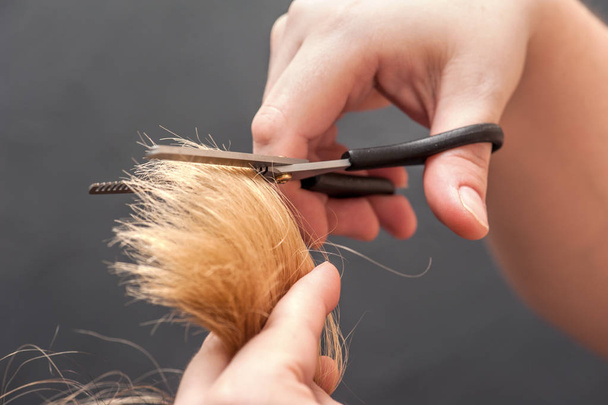 Ножиці обрізають волосся дівчат крупним планом
 - Фото, зображення