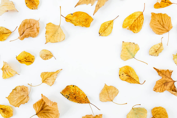 Autumn composition of autumn dried leaves on white background. Flat lay, top view. Close up view - Fotoğraf, Görsel