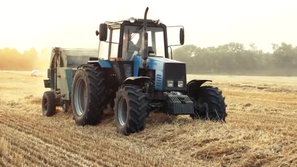 Working blue tractor in the field. - Footage, Video