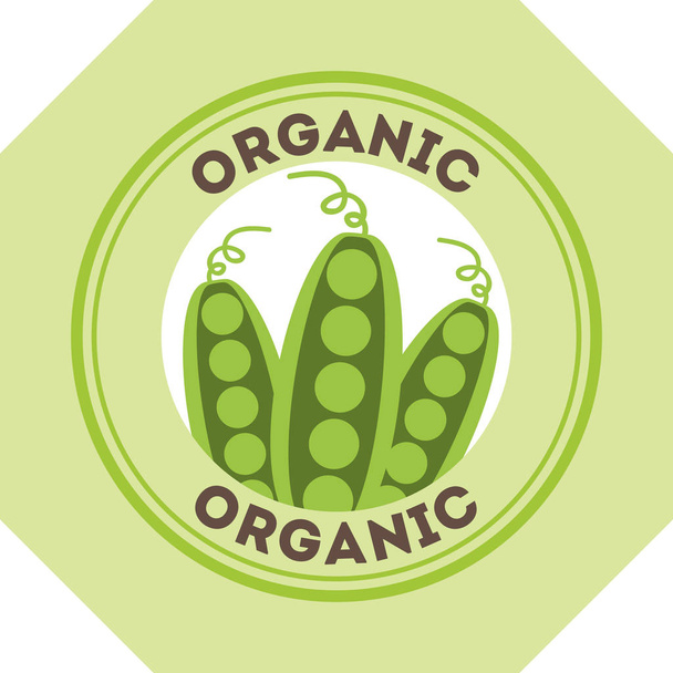 vegetais orgânicos naturais
 - Vetor, Imagem