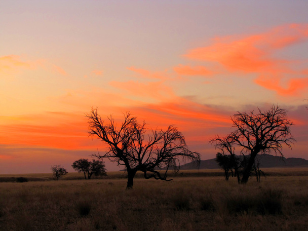 ナミビアの日没 - 写真・画像
