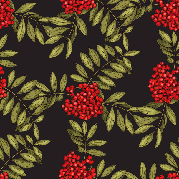 Vector seamless pattern with leaves and fruits of mountain ash on a black background. Colors of autumn nature for your design - Vector, Image