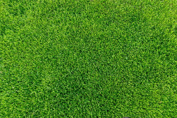 Close up Fresh grass of the stadium - Photo, Image