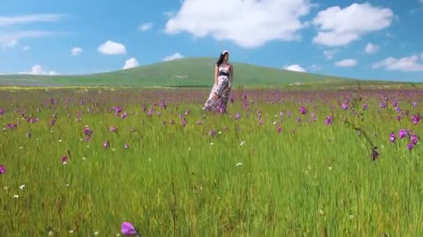 Nuori kaunis onnellinen nainen oleskelee niitty pitkä mekko lepattaa tuulessa. Kaunis hymiö tyttö kukka seppele nauttia luonto maisema. Quadrocopter-liike
. - Materiaali, video