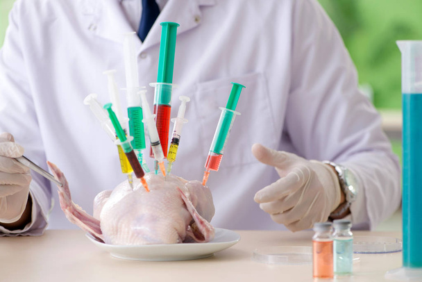 Laboratorní asistent testuje GMO kuře - Fotografie, Obrázek