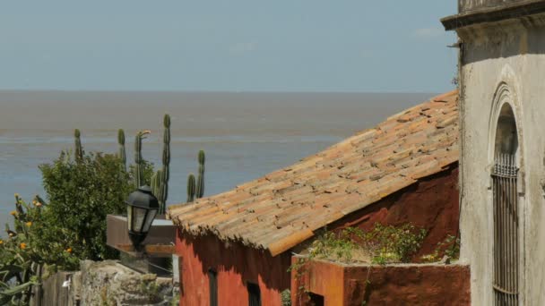 Pohled na Rio de la Plata z Colonia del Sacramento, Uruguay - Záběry, video