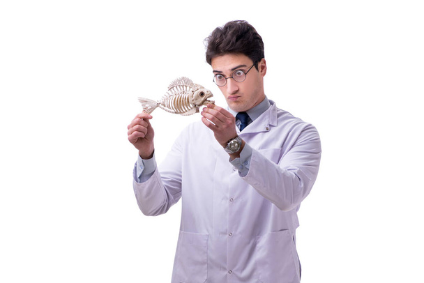 Funny crazy professor paleontologyst studying animal skeletons i - Photo, Image