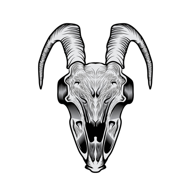 Cabra cráneo cabeza illustratio
 - Vector, imagen
