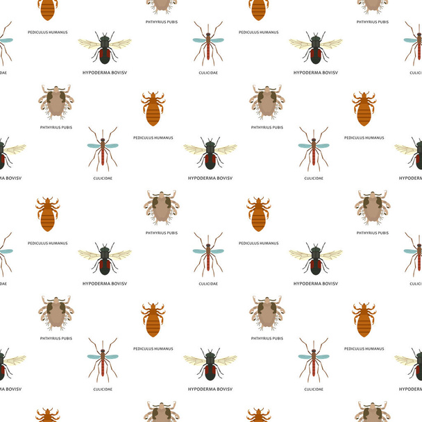 Human skin parasites vector housing pests insects disease parasitic bug macro animal bite dangerous infection medicine pest seamless pattern background illustration. - Vector, afbeelding
