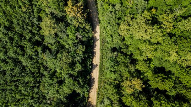 Vista aerea dall'alto verso il basso delle montagne del Caucaso alberi forestali e strada. Direttamente sopra la vista dal drone in una giornata estiva soleggiata
. - Foto, immagini