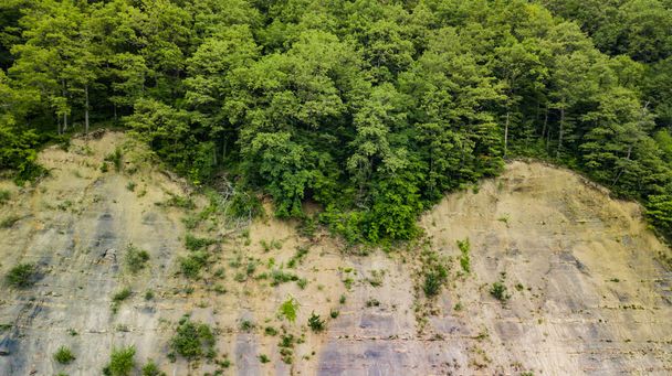 Aerial Top Down View Of Caucasus Mountains Forest Trees. Directly above view from drone on a sunny summer day. - Photo, Image