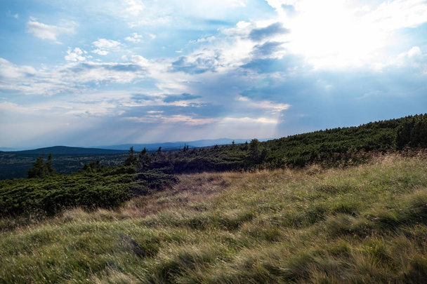 egy szép nyári táj a Krkonoše óriás hegyek, Csehország - Fotó, kép
