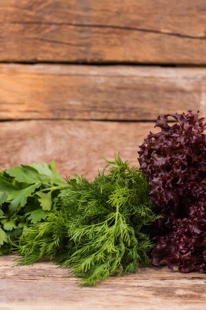 Fresh organic dill, parsley, and purple lettuce. - Foto, afbeelding
