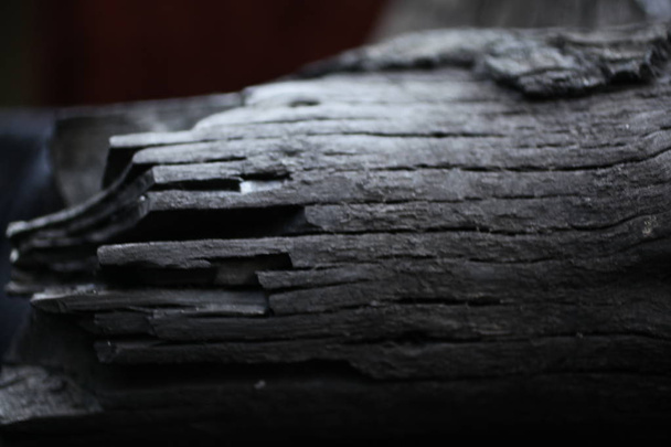 Burned wood. black wood from the fire. Rings on wood. Ash. Wood burnt on coal - Photo, Image