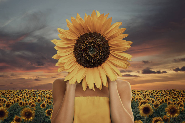 Beautiful young woman with sunflower in her hands in front of field - Photo, Image