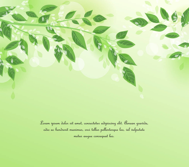 grüne Baumblätter - Vektor, Bild