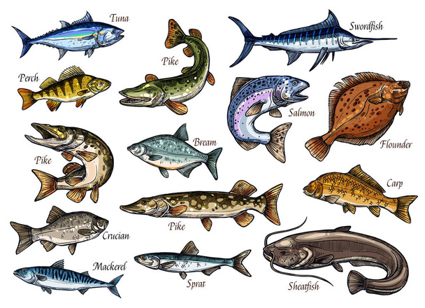 Fresh fish and seafood isolated sketches - Vector, Image