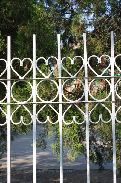Closeup iron fence fence - Photo, Image