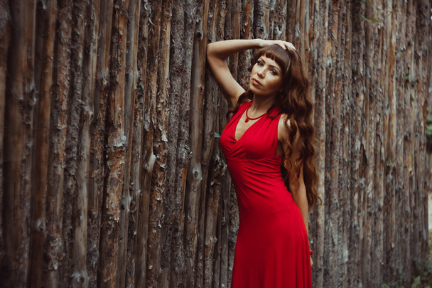 chica en un vestido en una cerca de madera
 - Foto, Imagen