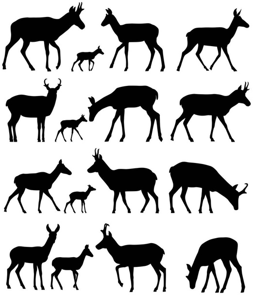 Collection de silhouettes d'antilope de pronghorn
 - Vecteur, image