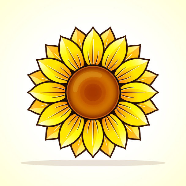 Vector illustration of sunflower on white background - Вектор,изображение