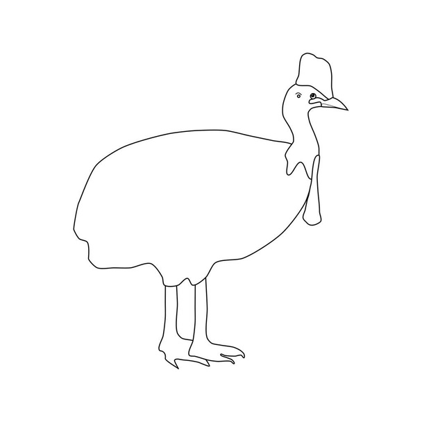 Casuarius ptak ilustracja na białym tle. Ilustracja wektorowa - Wektor, obraz