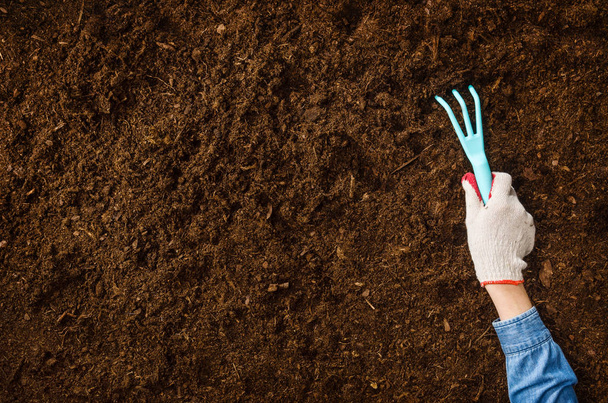 Woman hand planting a plant on a natural, soil backgroud. Camera from above, top view. Natural background for advertisements. - Photo, Image
