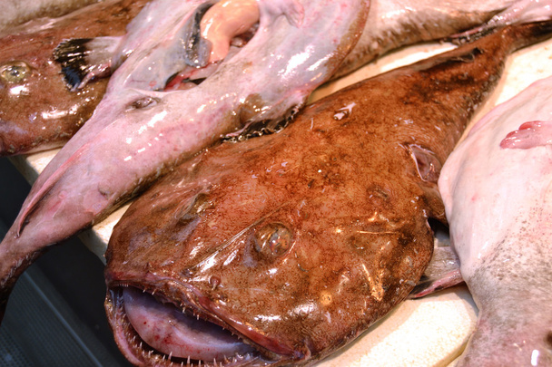 mercato del pesce - Foto, immagini