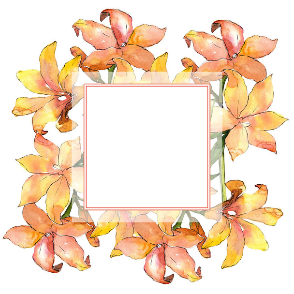 Ακουαρέλα πορτοκαλί amaryllis. Floral βοτανικό λουλούδι. Πλαίσιο συνόρων στολίδι τετράγωνο. - Φωτογραφία, εικόνα