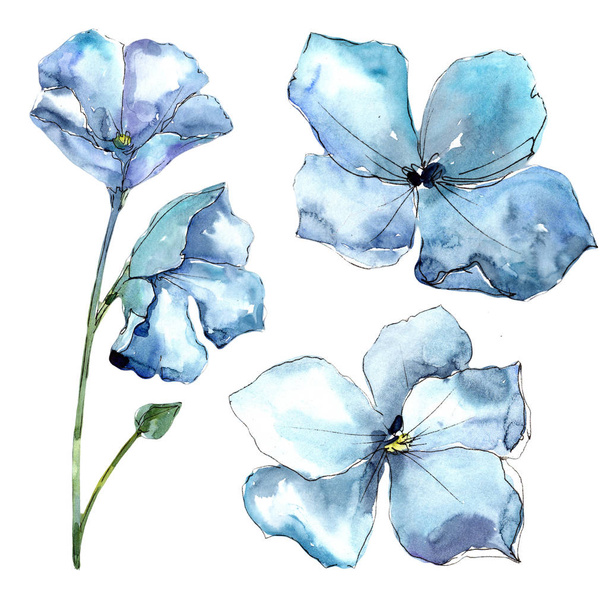 Ακουαρέλα μπλε άνθους λιναριού. Floral βοτανικό λουλούδι. Απομονωμένη εικονογράφηση στοιχείο. - Φωτογραφία, εικόνα