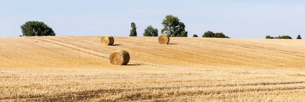 Field with hay bales on a sunny day - Photo, Image