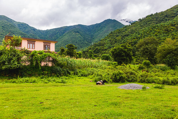 Prachtige groene landschap van Nepal in zomer, scène van de Himalaya, platteland dorp van Chandragiri Nepal - Foto, afbeelding