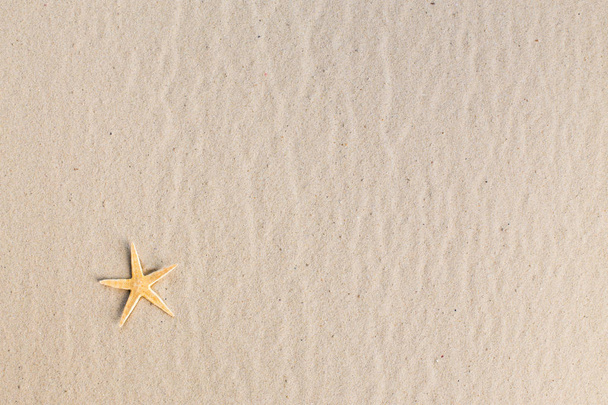 a sea star on the beach - Foto, afbeelding