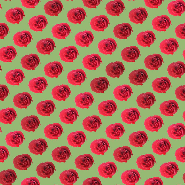 Decorative flower background. Seamless colorful pattern.Rose. - 写真・画像