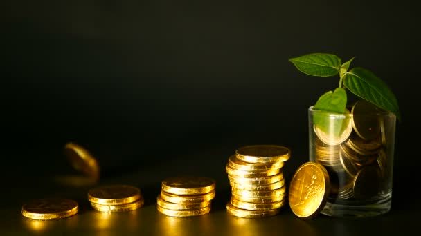 Beheer de efficiëntie. Stapels van gouden munten in de buurt van vol glas en groene blad van sprout op zwarte achtergrond. Succes. - Video