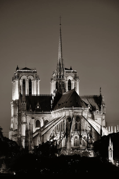 Notre Dame de Paris za soumraku jako slavné město mezník. - Fotografie, Obrázek